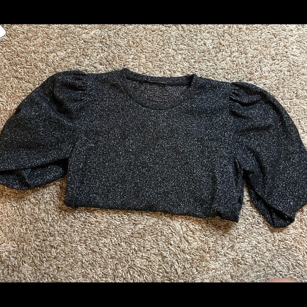 Zara glitzy long sleeve blouse. Poof shoulders